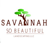 Savannah So Beautiful logo - Similar company to Proficient Consultants