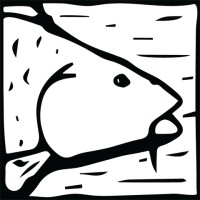 Carp Solutions logo - Similar company to Nrp - Ecological Land Management