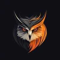 Solom Security logo - Similar company to Solom