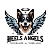 Heels Angels Australia logo - Similar company to Mind You Services