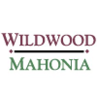 Wildwood Mahonia