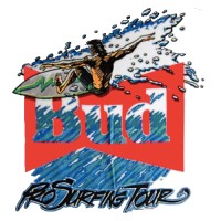 Professional Surfing Association Of America / Psaa