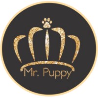 Mr.Puppy