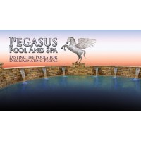 Pegasus Pool and Spa, LLC logo - Similar company to Techville