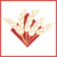 Wm Lillico & Son Limited