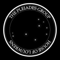 The Pleiades Group logo - Similar company to Pleiad Group