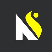 Ns4 Solutions logo - Similar company to Ns4B - Net Solution For Business