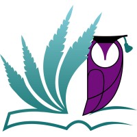 Canna~Wise Medicine logo - Similar company to Brass Monkey Creative