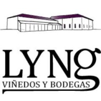 VIÑEDOS Y BODEGAS LYNG logo - Similar company to Doña Felisa Winery - Chinchilla Red Wine