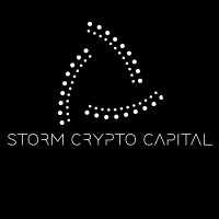 Storm Crypto Capital logo - Similar company to Distinct Learning Solution