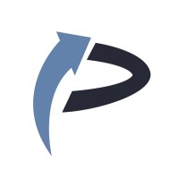 Provices IT Solutions logo - Similar company to Axis Datalytics