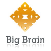 Big Brain Project logo - Similar company to Webrain