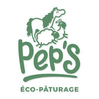 PEP'S logo - Similar company to Peps Competence