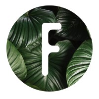 The Fernseed