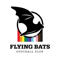 The Flying Bats Football Club logo - Similar company to Stellar Partnerships