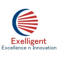 Exelligent logo - Similar company to Exelligent