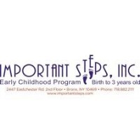 Important Steps logo - Similar company to Bond Solutions
