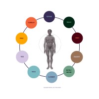 REGENASYST™ logo - Similar company to Regenerative By Design Consulting