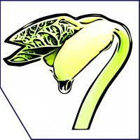 Wyaxis logo - Similar company to Banana
