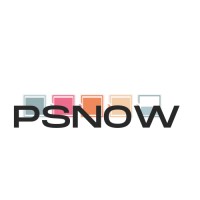 Partner Success Now logo - Similar company to Proactive Excel Safety Consultancy