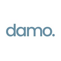 damo. logo - Similar company to Damo It