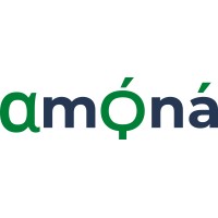 Amona Consulting logo - Similar company to Platinum Integrations Ltd