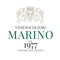 Vini Marino logo - Similar company to Attech Inc