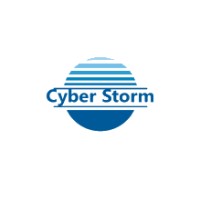 Cyber Storm logo - Similar company to The Pendurthi Group