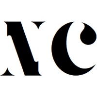 Notion Consultancy logo - Similar company to Matthias Frank Consulting