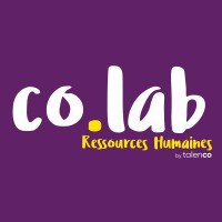 Le Co.Lab Ressources Humaines by TalenCo logo - Similar company to Modalyon