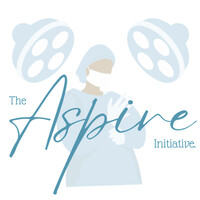 The Aspire Initiative logo - Similar company to Dreeam Nuh
