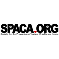 Society for the Prevention of Animal Cruelty and Abuse logo - Similar company to Real Time Technologies Inc