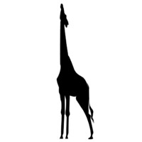 Giraffe Consulting logo - Similar company to Lplc