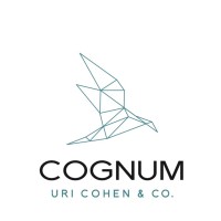 COGNUM Financial Consulting logo - Similar company to Cheez Ai