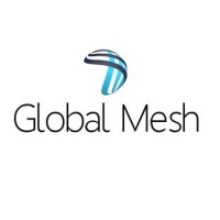 Global Mesh