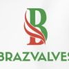 BRAZVALVES SOLUÇÕES INDUSTRIAIS logo - Similar company to Realplastik