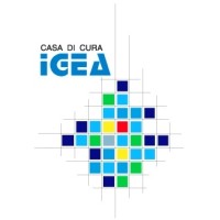 Casa di Cura Igea S.p.A. logo - Similar company to Mohn Medical Imaging And Visualization Centre