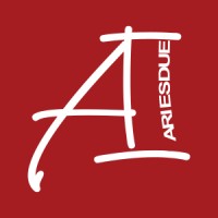 Ariesdue Srl