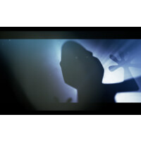 Little Darwin Films