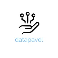 datapavel solutions logo - Similar company to Seha Consulting