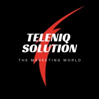 TeleniQ Solution logo - Similar company to Teledigitance