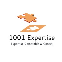 1001 EXPERTISE logo - Similar company to Ideal Expert Comptable