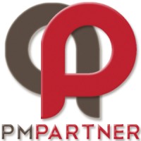 Pmpartner - Consultoria Em Projetos E Processos