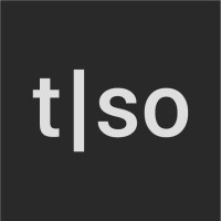 Torso Electronics logo - Similar company to Inphonik