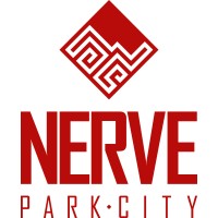 Nerve Inc logo - Similar company to Knowlton Solutions
