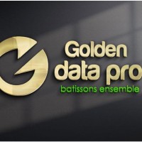 Golden Data construction logo - Similar company to Construction Services Ltd