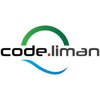 Codeliman Bilgi Teknolojileri ve Danışmanlık logo - Similar company to Makronet Information Technologies