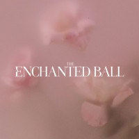 The Enchanted Ball logo - Similar company to Skyfield Finance