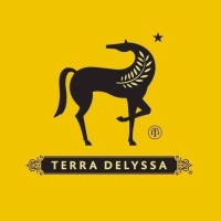 Terra Delyssa Pakistan logo - Similar company to Cho Group
