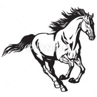 Gallop  Group logo - Similar company to Am Systems